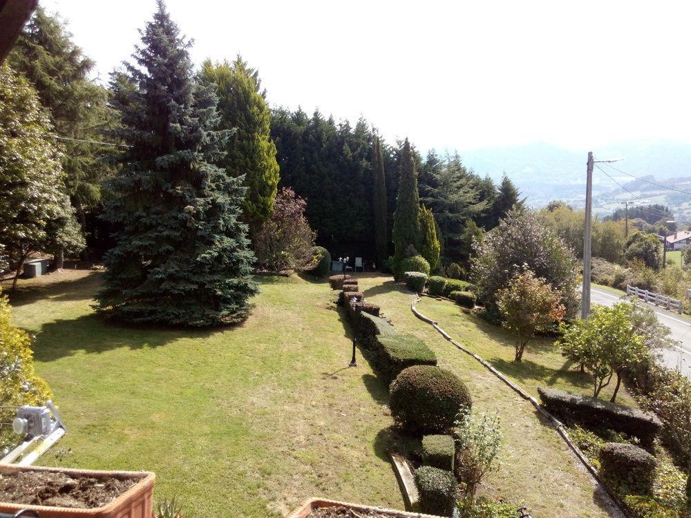 Urrezko Ametsa